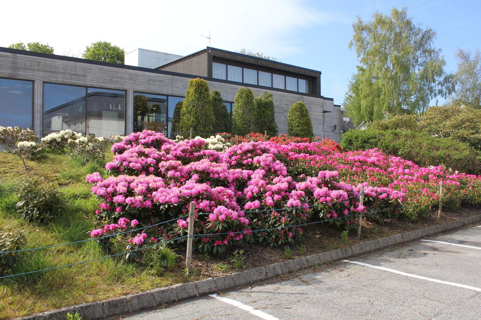 Solborg Folkehogskole Hostel Stavanger Esterno foto