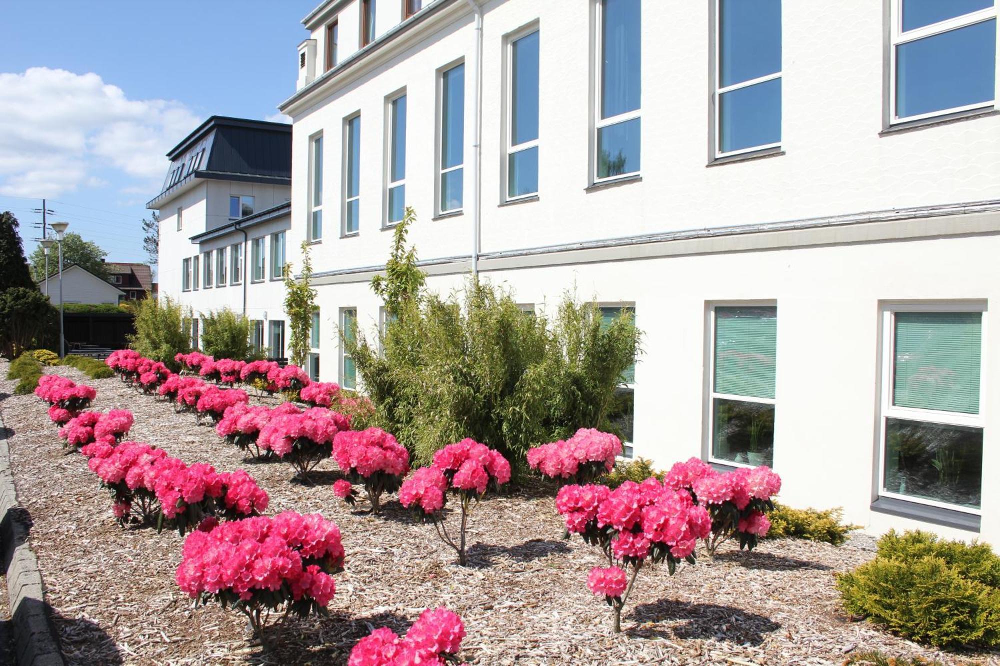 Solborg Folkehogskole Hostel Stavanger Esterno foto